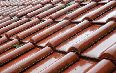 ¿Cómo impermeabilizar techos y azoteas?