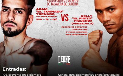 Max Color. Pintura & Decoración con el boxeo talaverano