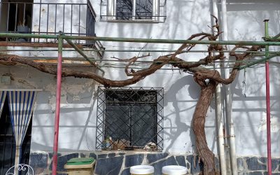 Max Color colabora en la rehabilitación de una casa para familias ucranianas